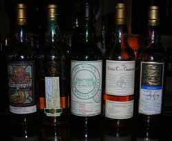 ロングモーン(07/4/22)