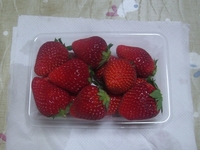 漬けましたぁ (゜∇^*) テヘ♪