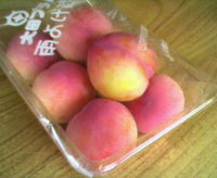 すもももももももも