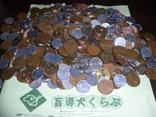 日本盲導犬協会