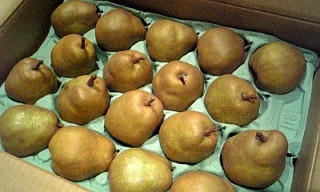 山形県大江町から届きました!