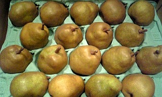 美味しそうに列んでいるラ・フランス!