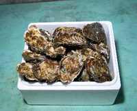 サロマ湖から美味しい『ミルク』が届きます