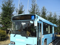 サントリーな1日(午前)