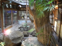 ホルモン同好会会長送別会 料理の部