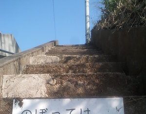 “Don”t go up the steps”