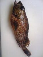 がしらのガシラ