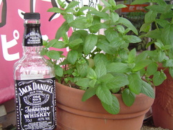 自家製ミントWhisky&WifeNo13