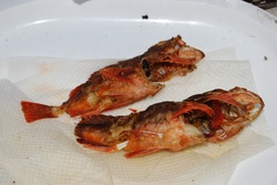 GWキャンプ(乱闘編)