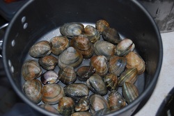 GWキャンプ(BBQ編)