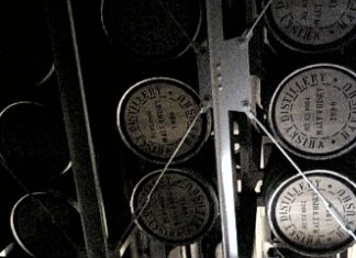 白州で、眠りについている樽!