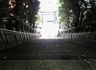 愛宕神社、上から見た階段!