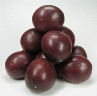 パッション受難の果実