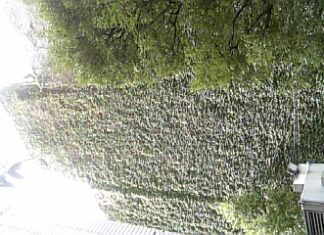 買い物散歩道中で…その.1