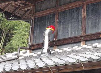 柿の収穫