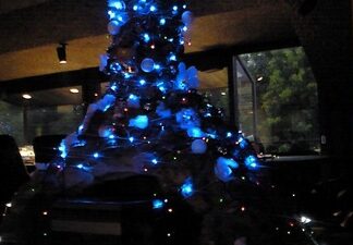 クリスマスツリー?!