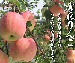 I think ・・・