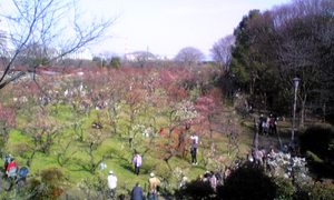 うめぇ~!