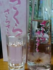 今日の雪、明日の桜