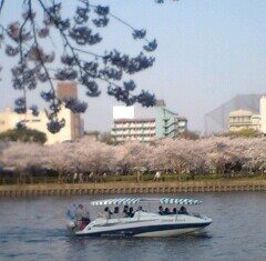 イロイロな寄り道(^O^)/