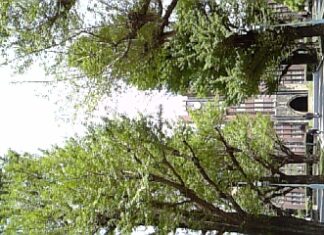 本郷散歩… その.1