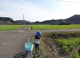 つくし
