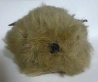 ハギスはイギリスの国民的動物です