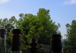 カウンターからの景色。。。