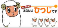血液型診断説明書&動物占い