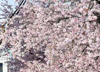 日記2016年3月7日