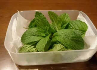 4月20日(水)