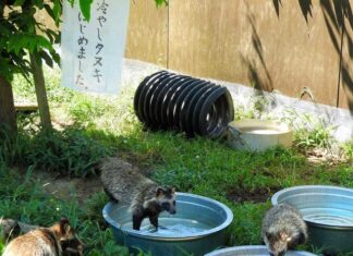 日記2016年8月14日
