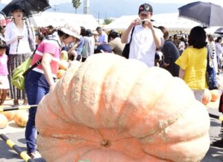 日記2016年9月10日