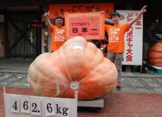 日記2016年9月25日