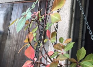矛盾