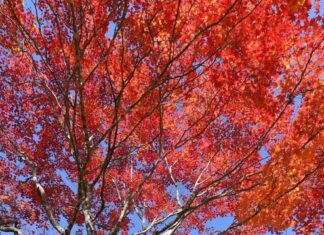 日記2017年10月3日