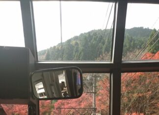 日記2017年11月8日