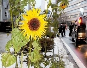 日記2017年12月18日