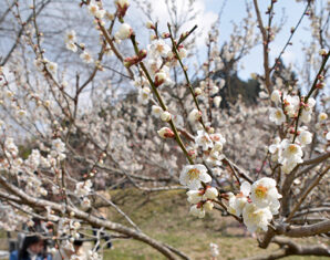 日記2018年3月13日