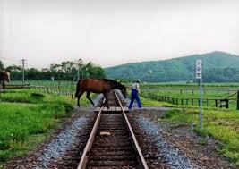 日記2019年7月28日