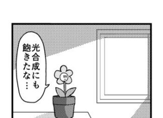 日記2019年7月7日