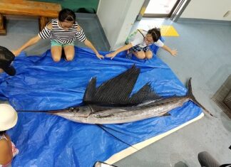 日記2019年8月4日