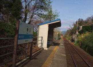 日記2019年8月11日