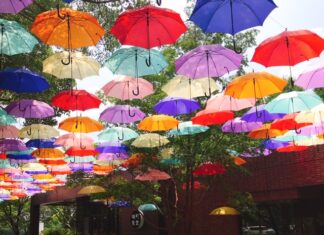 日記2019年8月15日