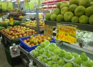 台湾紀行・其ノ壱