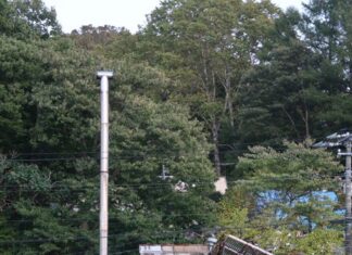 日記2019年10月14日