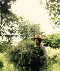 フレッシュなニガヨモギの苦みが効いた国産アブサン『マルス アブサン モン・セール』新発売のご案内