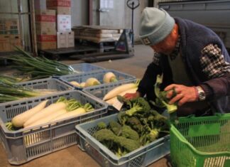 日記2020年1月12-13日