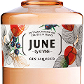 「ジーヴァイン フロレゾン」をベースにしたラグジュアリーなジン・リキュール『ジューン』が完成!