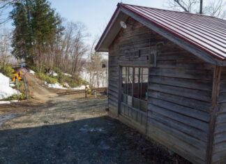 日記2020年1月7日